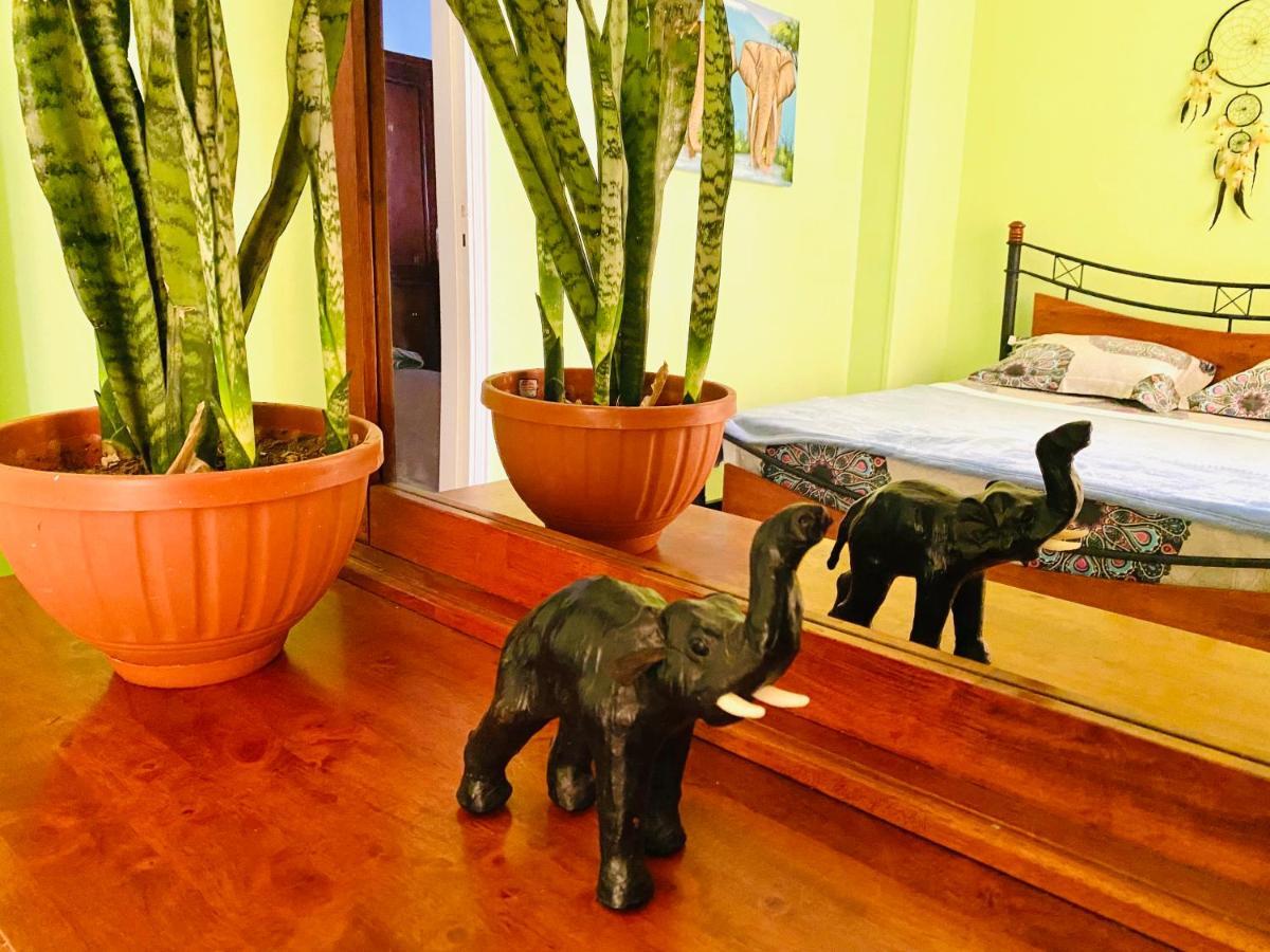 Apartment Elephant House With Sea View *